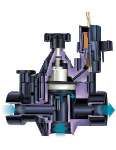 Electroválvula Serie PGA Rain Bird con solenoide 2